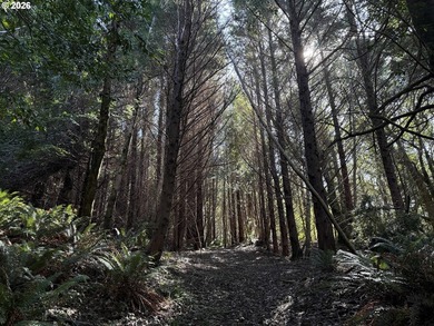 Just south of Port Orford, this exceptional 15-acre ocean-view - photo 46