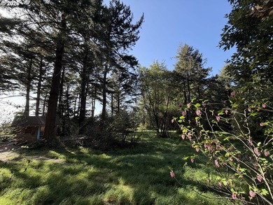 Just south of Port Orford, this exceptional 15-acre ocean-view - photo 48
