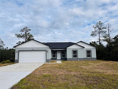 Lake Marion - Polk County Home For Sale in Kissimmee Florida