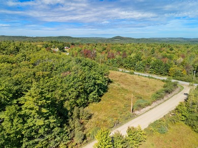 Trues Pond  Acreage For Sale in Montville Maine