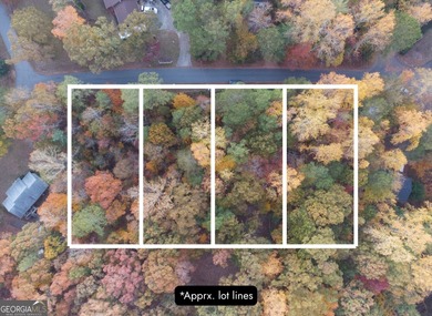 Lake Lanier Lot Sale Pending in Gainesville Georgia