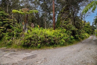 Tucked away in Volcano Village, this property is quiet, serene - photo 12
