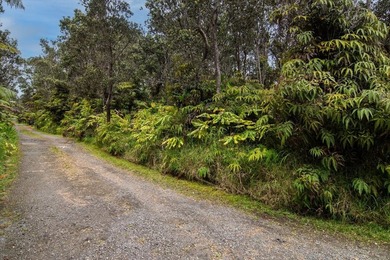 Tucked away in Volcano Village, this property is quiet, serene - photo 14