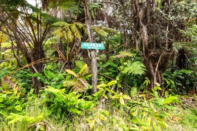 Tucked away in Volcano Village, this property is quiet, serene - photo 15