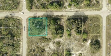 Lehigh Acres Area Lot For Sale in Lehigh Acres Florida