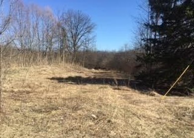 McWithy Lake  Lot For Sale in White Lake Michigan