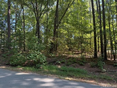 Lake Other Sale Pending in Littleton, North Carolina