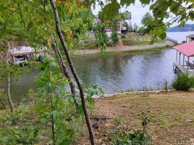 Lake Other Sale Pending in Boydton, Virginia
