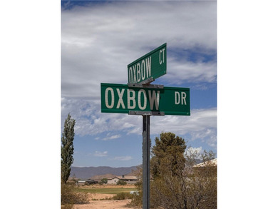 Golf course views, corner lot, mountain views, and Valle Vista - photo 1