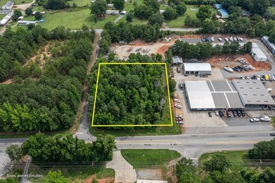 91 acres with 200 feet of road frontage beside Strickland - photo 3