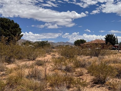 Golf course views, corner lot, mountain views, and Valle Vista - photo 4