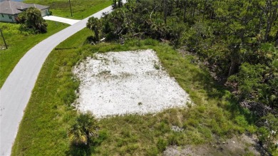 Build your dream home and save! Primer corner lot in Rotonda - photo 3