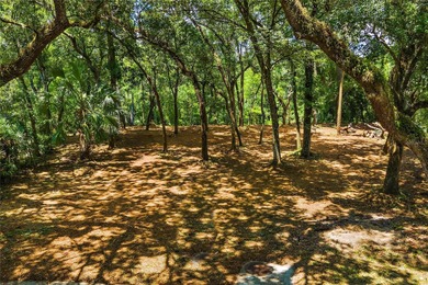 (private lake, pond, creek) Lot For Sale in Temple Terrace Florida