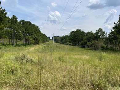 The property spans approximately 749 acres, with 518.12 acres - photo 2