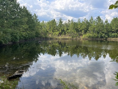 The property spans approximately 749 acres, with 518.12 acres - photo 3