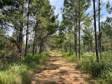 The property spans approximately 749 acres, with 518.12 acres - photo 4