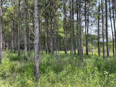 The property spans approximately 749 acres, with 518.12 acres - photo 5
