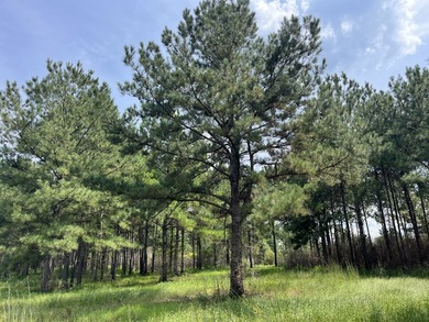 The property spans approximately 749 acres, with 518.12 acres - photo 6