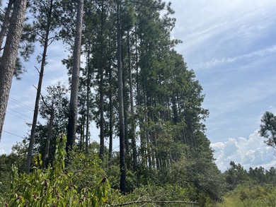 The property spans approximately 749 acres, with 518.12 acres - photo 10