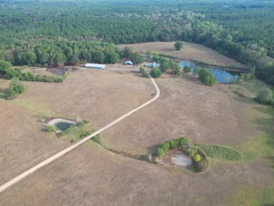 Lake Home For Sale in Liberty, Mississippi