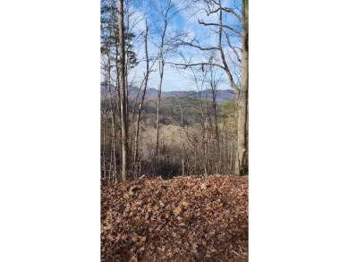 (private lake, pond, creek) Lot For Sale in Franklin North Carolina