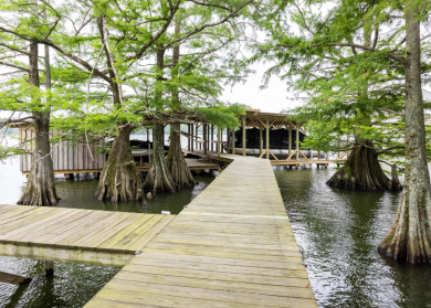 Beautiful Lake House Retreat - photo 26