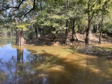 JUST REDUCED! This property spans approximately 1,316 acres and - photo 2
