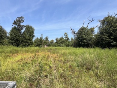 JUST REDUCED! This property spans approximately 1,316 acres and - photo 3