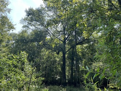 JUST REDUCED! This property spans approximately 1,316 acres and - photo 4