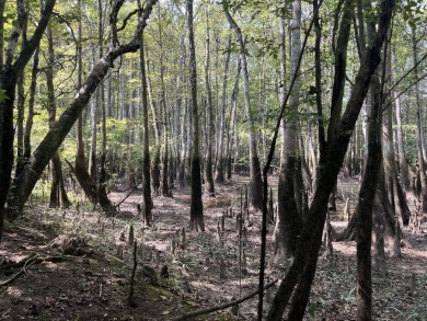 JUST REDUCED! This property spans approximately 1,316 acres and - photo 5