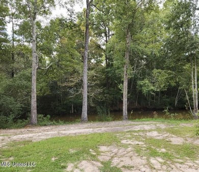 Nice waterfront lot on Meadowdale. Property is cleared and ready - photo 17