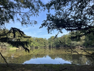 JUST REDUCED! This property spans approximately 1,316 acres and - photo 9