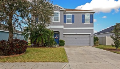 Lake Home Sale Pending in Parrish, Florida