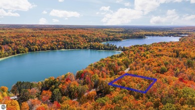 Lake Home For Sale in Kalkaska, Michigan