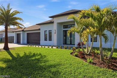 IMPROVED PRICE! - ready to move in Brand-New Luxury Home with - photo 42