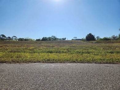 This may be the highest lot in all of Rotonda Lakes. Cost of - photo 3