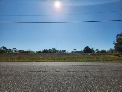 This may be the highest lot in all of Rotonda Lakes. Cost of - photo 4