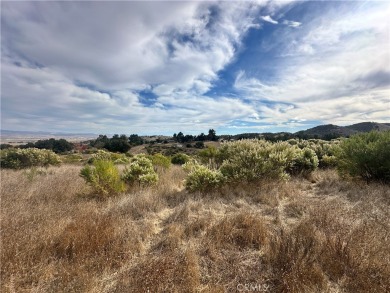 (private lake, pond, creek) Acreage For Sale in King City California