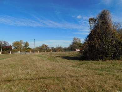 Property is 39,380 square feet +/-. It was at one time 4 lots - photo 3