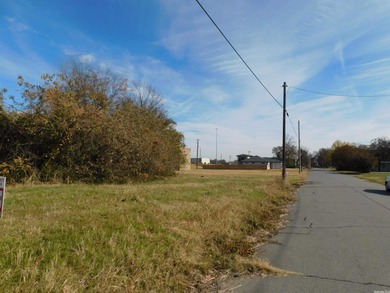 Property is 39,380 square feet +/-. It was at one time 4 lots - photo 8
