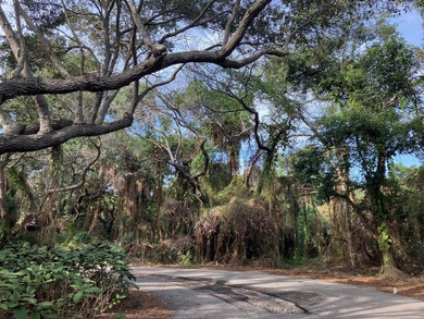 This unique cul-de-sac gem within the prestigious Hideaway Beach - photo 2