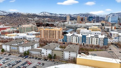 Wonderful Downtown Living! This sleek downtown condo is ideal