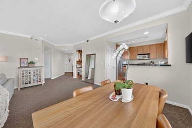 Wonderful Downtown Living! This sleek downtown condo is ideal