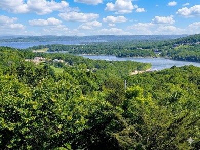 TABLE ROCK LAKE OUTSTANDING VIEWS from lovely 3BR/3BA home, 2 - photo 39