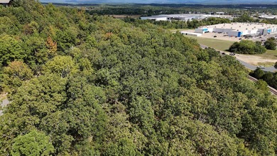 Commercial potential subject to appropriate zoning and approvals - photo 4