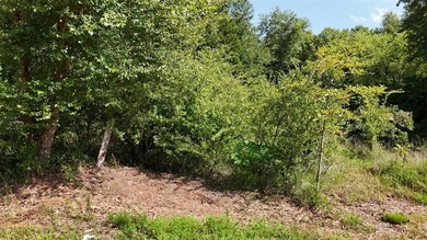 Lake Life Starts Here - Build Your Dream on Lot 24 in Harbor - photo 3