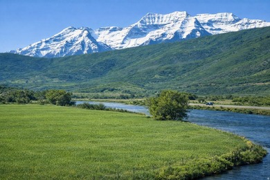 One of the finest remaining riverfront estate properties in - photo 7