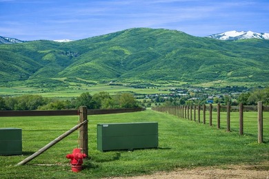 One of the finest remaining riverfront estate properties in - photo 9