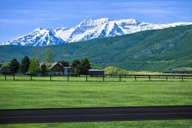 One of the finest remaining riverfront estate properties in - photo 10