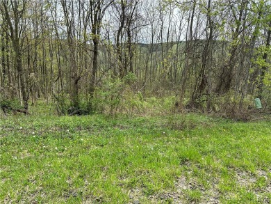 Lake Lot For Sale in Virgil, New York